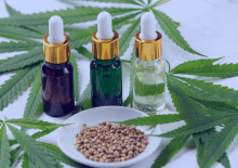 Ohio Active Medical Marijuana Patients in 2025.png