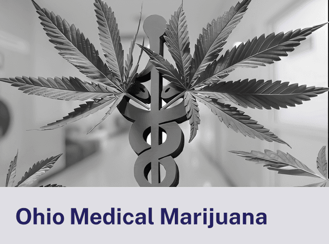 Ohio Medical.png